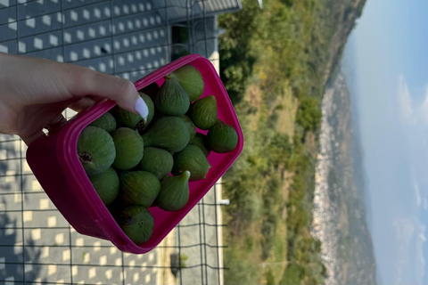 Berat: Farm-to-Table Cooking Class with Local Family