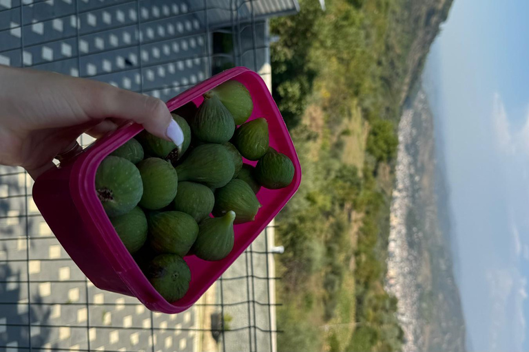 Berat: Farm-to-Table Cooking Class with Local Family