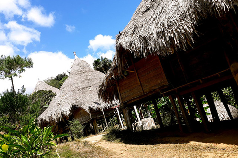 Panama Stad: Bezoek onze Emberá inheemse cultuur, jungle en watervallen