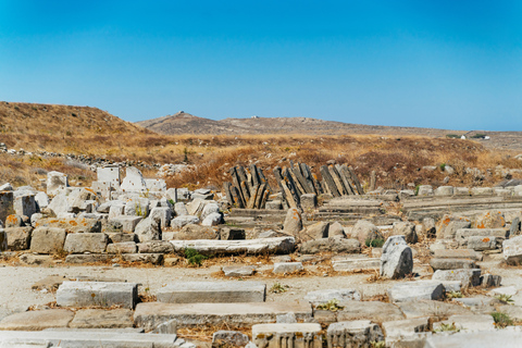 Mykonos stad: Delos arkeologiska utgrävning Guidad dagsutflyktGuidad rundtur av Delos med köföreträde – på italienska