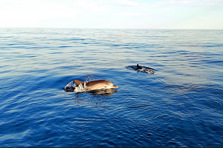 Taormina: Sunset Boat Tour with Aperitif