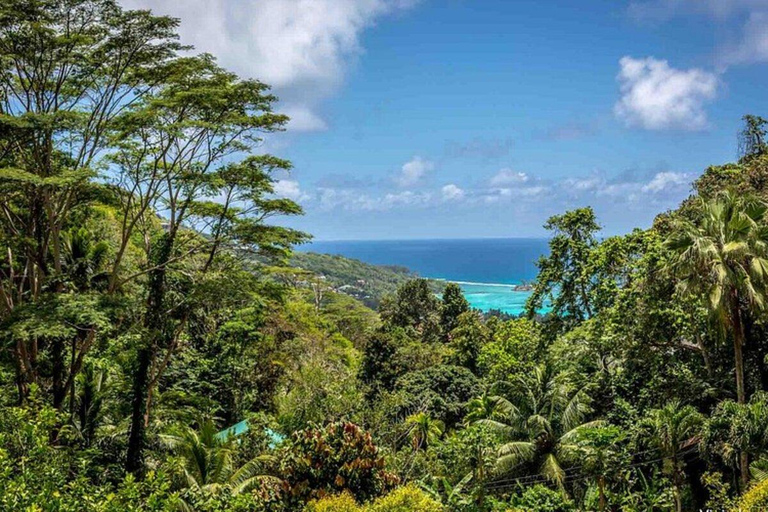Seychelles: Spice Tour and Shopping Experience