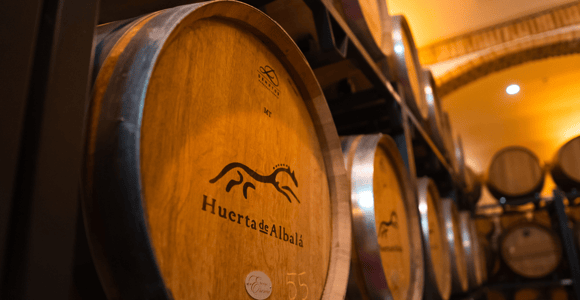 Arcos de la Frontera: Tour with Paired Tasting at Huerta de Albalá + Gift