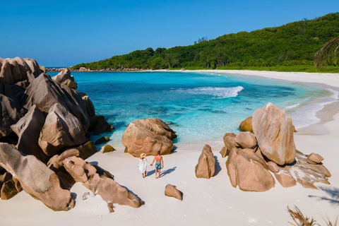 Phuket/Khaolak: Viagem de catamarã de alta velocidade às Ilhas Similan