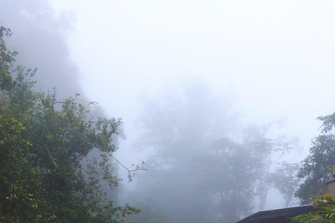 Santa Marta : randonnée de 2 jours au Cerro Kennedy avec un guide autochtone