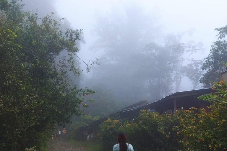 Santa Marta : randonnée de 2 jours au Cerro Kennedy avec un guide autochtone