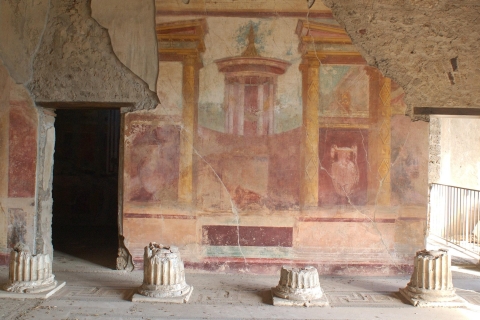 Pompeii, Herculaneum and Vesuvius private tour