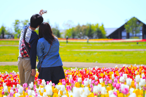 From Sapporo: Hoheikyo Dam, Jozankei & Lake Shikotsu Tour Shared Tour, Meet at Sapporo Station