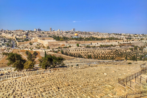 Klassisk privat heldagstur till JerusalemKlassisk privat heldagstur till Jerusalem från Tel Aviv/Ashdod