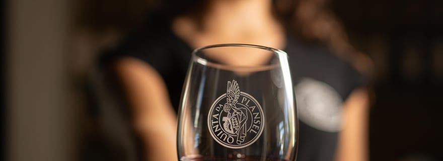 Quinta da Plansel : dégustation de vin et visite