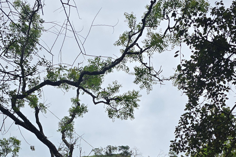Kandy: Polonnaruwa, Sigiriya & Dambulla Private Tour
