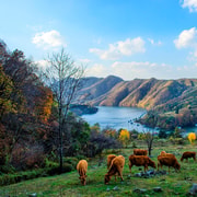 Seoul: Private Nami Island and Chuncheon Tour