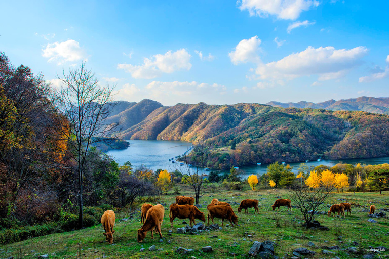 Seoul: Private Luxury Scenic Escape | Beyond Nami Island