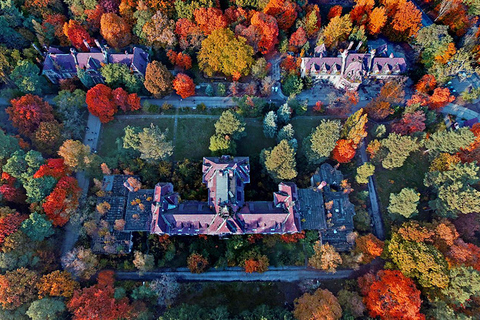 Baum&amp;Zeit Beelitz-Heilstätten: Tree Top Walk Ticket de entrada