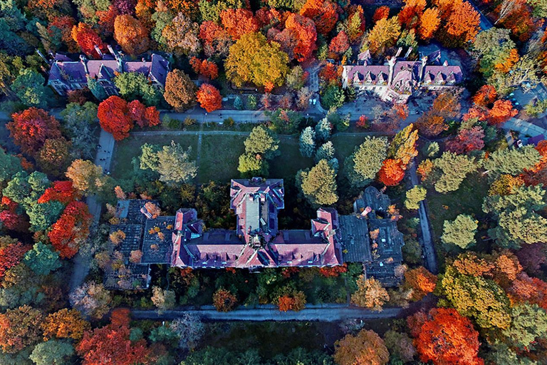 Baum&amp;Zeit Beelitz-Heilstätten: Tree Top Walk Ticket de entrada