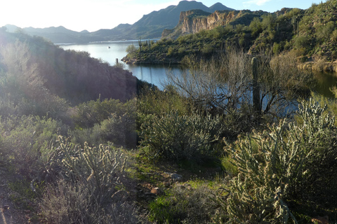 Mesa: Saguaro Lake View Hike