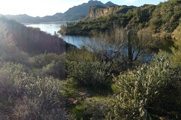 Mesa: Saguaro Lake View Hike