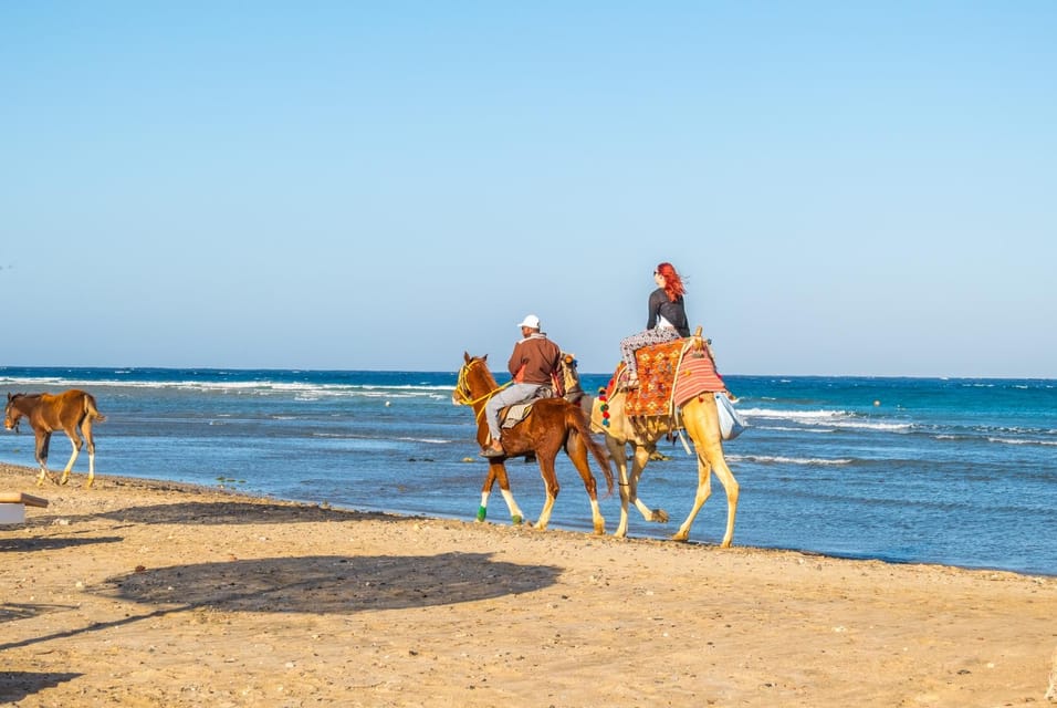 Hurghada Paardrijden Langs De Zee En De Woestijn Met Transfers