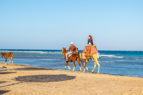 Hurghada : Randonnée à cheval le long de la mer et du désert avec transferts