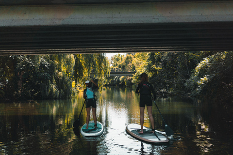 Montreal: Paddleboard and Giant SUP Rental at Parc Jean-Drapeau Giant SUP for 4 people