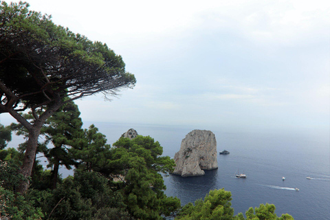 Au départ de Naples : Grotte bleue, Capri et Anacapri en groupe