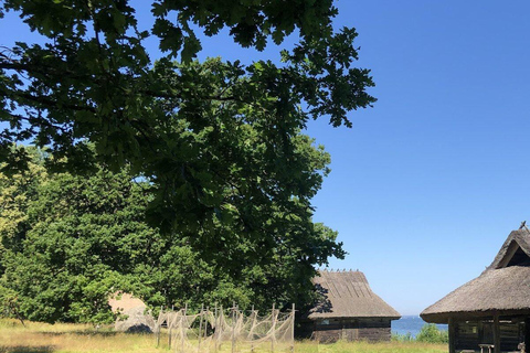 متحف إستونيا المفتوح - تجربة ثقافية من تالين