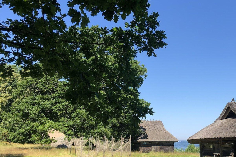 متحف إستونيا المفتوح - تجربة ثقافية من تالين