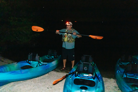 Orlando: Bioluminescence Kayak Tour