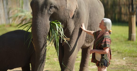 Chiang Mai: Private Elephant Care, ATV/Zipline, Waterfall & Raft