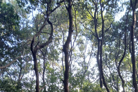 Shivapuri Nagarjun: Half-Day Hiking to Jamacho Gumba