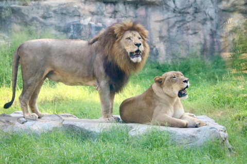 Entebbe : Wycieczka do ogrodu zoologicznego i botanicznego w Entebbe