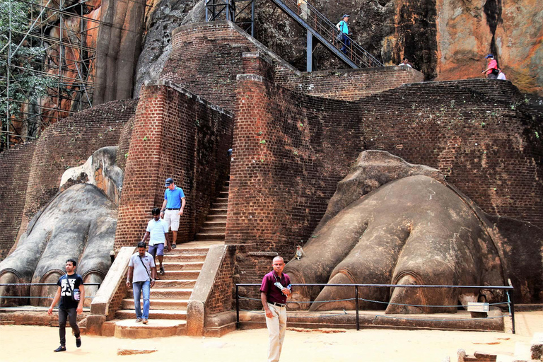Sigiriya & Dambulla Private Day Tour From Negombo