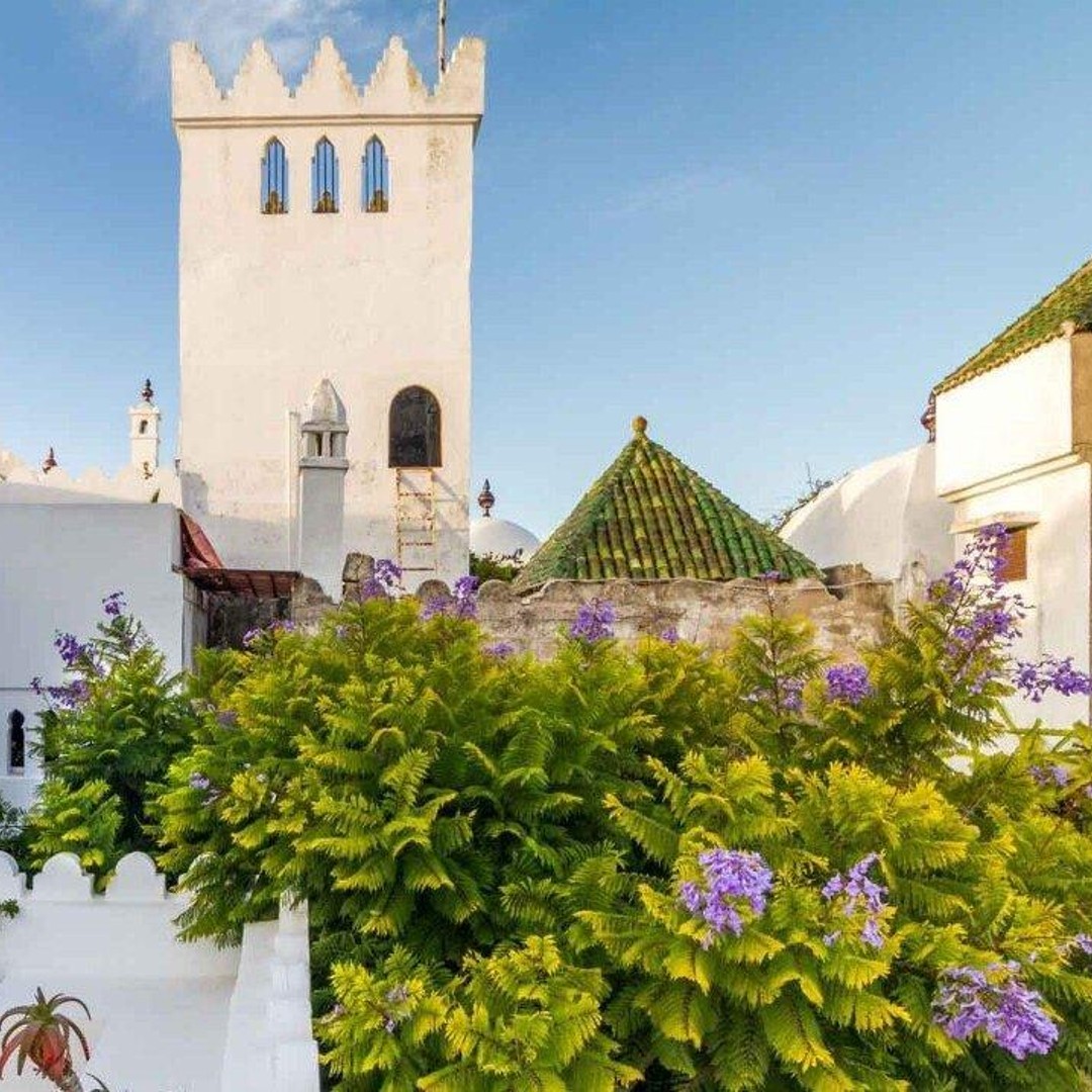 Tanger : Visite privée tout compris - dromadaire