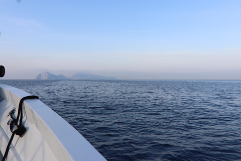 Visite de Capri et Anacapri : Faraglioni et grottes de Sorrente