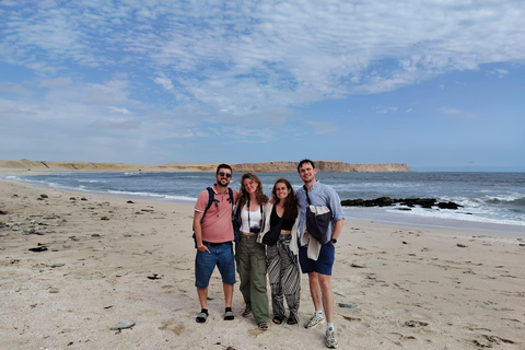 Paracas: Mini Dune Buggy Adventure and Sunset Kayak Sightseeing Tour Paracas: Mini Polaris Adventure and Sunset Kayak Sightseeing Tour