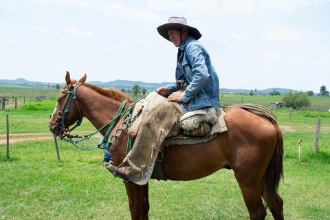 Azores: Scenic Horseback Ride with Coastal Views