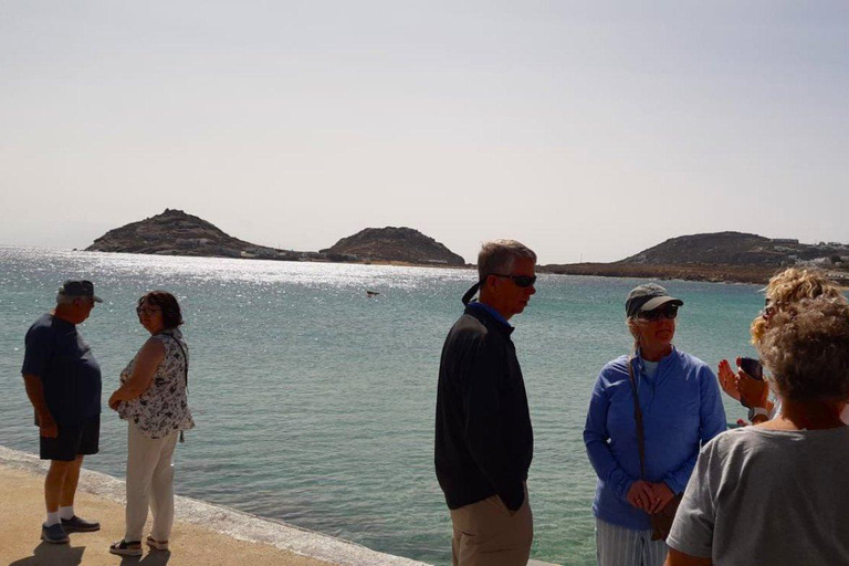 Najważniejsze wydarzenia z Mykonos: Half-Day TourPrywatna wycieczka półdniowa