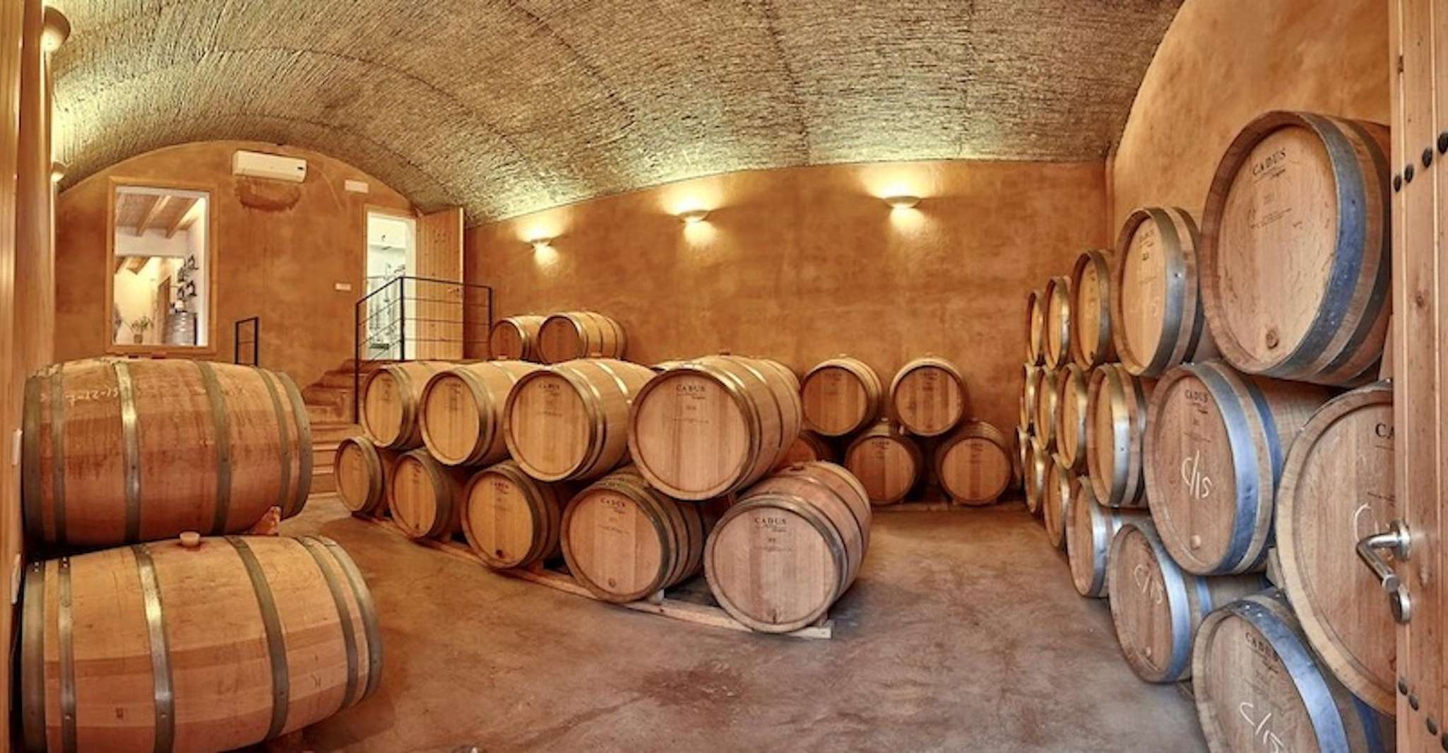 Alcudia, Visite Vignoble & Expérience de dégustation de vins Exclusive - Hizvo