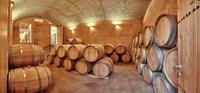 Alcudia, Vineyard Tour & Exclusive Wine Tasting Experience - Hizvo