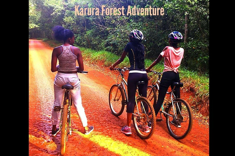 Tagestour zum Karura Forest Nature Trail