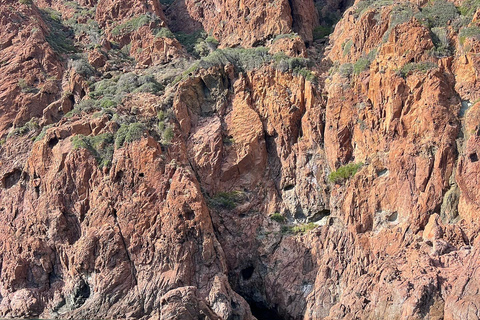 Scandola e le Calanche di Piana