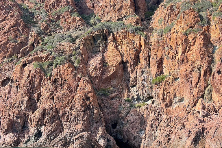 Scandola et les calanques de Piana