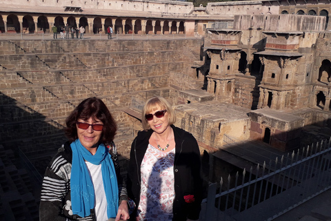 Escursione in giornata ad Abhaneri con il Tempio delle Scimmie da JaipurTour in auto e autista