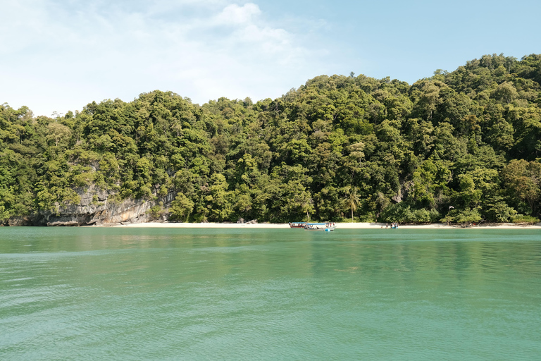 Langkawi : visite privée de 2 heures dans la mangrove avec transfert depuis l&#039;hôtelGroupe de 6 personnes (par bateau)