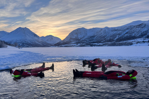 Tromsö: Arktiska oceanen Flytande läger Räddningsdräkt SimningUpplevelse nattetid