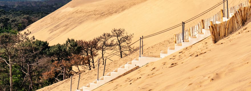 Au départ de Bordeaux : Visite d'une jounée du Bassin d'Arcachon et déjeuner d'huîtres.
