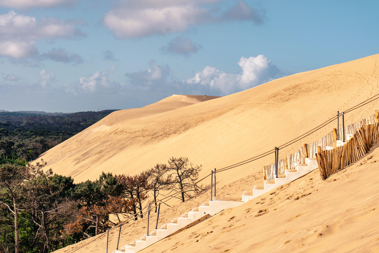 Au départ de Bordeaux : Visite d'une jounée du Bassin d'Arcachon et déjeuner d'huîtres.