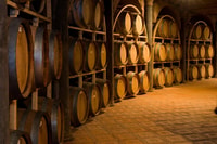 Querétaro, San Miguel & Wine In A Day. - Housity