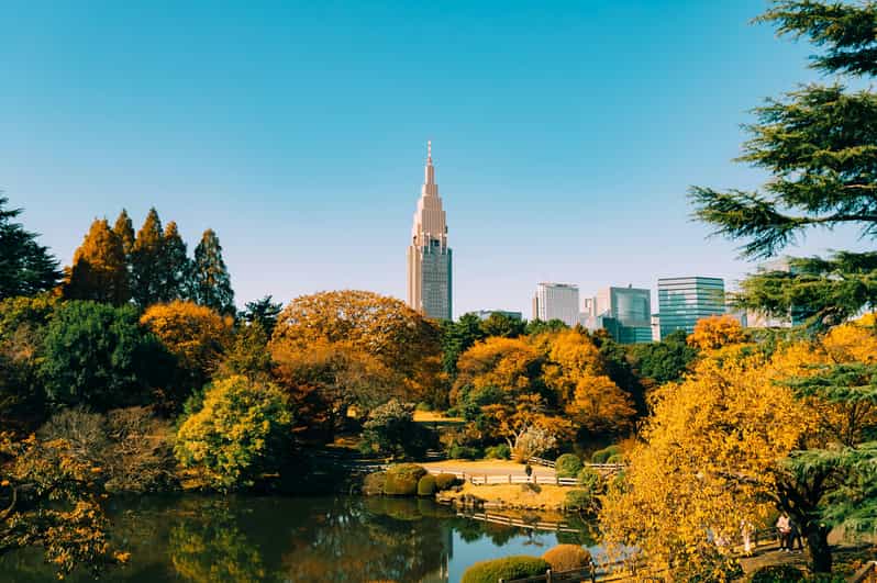 Tokyo: Shinjuku Gyoen Autumn Leaves Stroll (Entry Included)