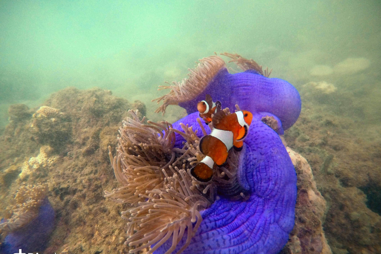 Golden Horizon of Krabi: 4 Islands & Phra Nang Sunset